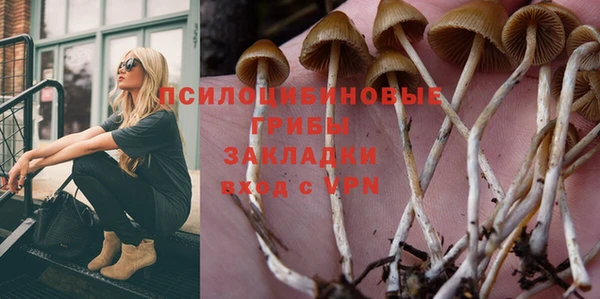 каннабис Арсеньев